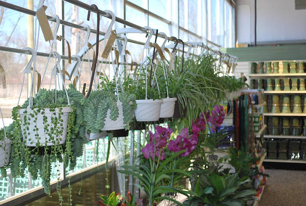 Inauguran los nuevos Petitti Garden Center