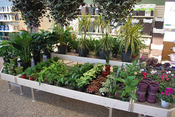 Inauguran los nuevos Petitti Garden Center