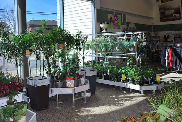 Inauguran los nuevos Petitti Garden Center