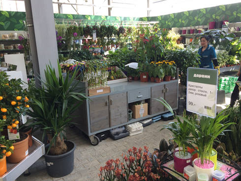 Inauguration du nouveau Garden Center “Darwin”