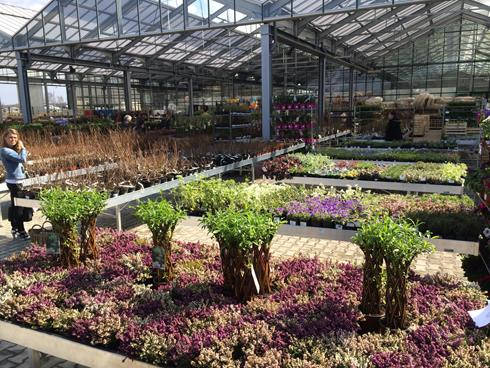 Inauguration du nouveau Garden Center “Darwin”