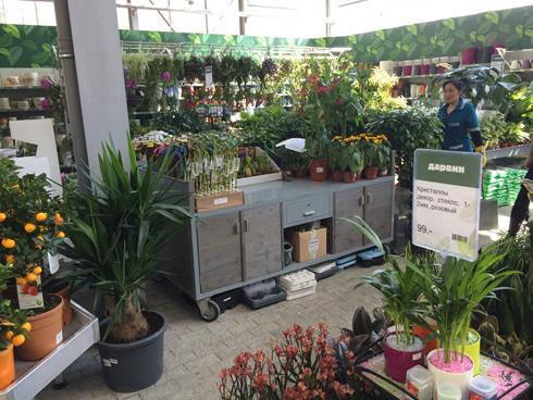 Inaugurazione del nuovo garden Center Darwin