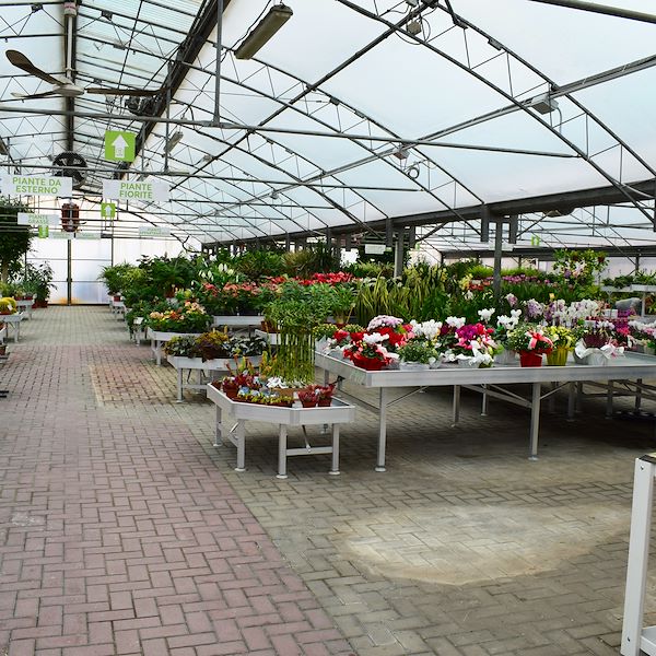 Il nuovo volto del Garden Frediani