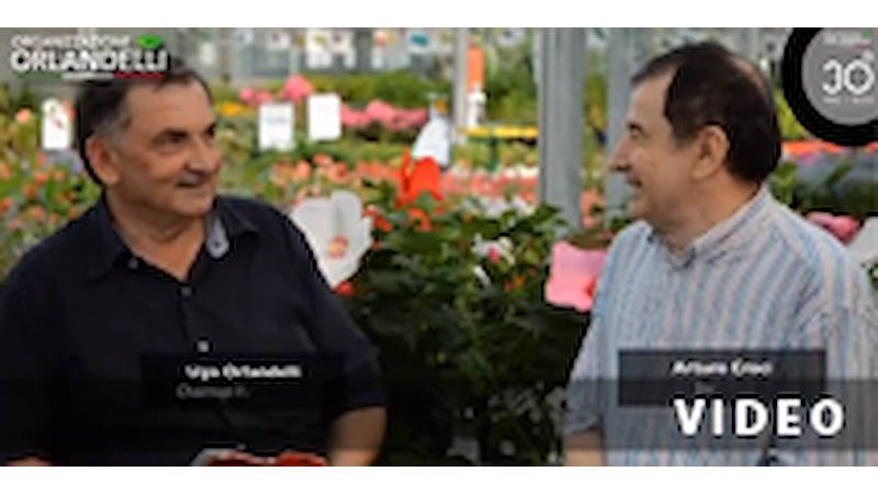 Interview avec Ugo Orlandelli