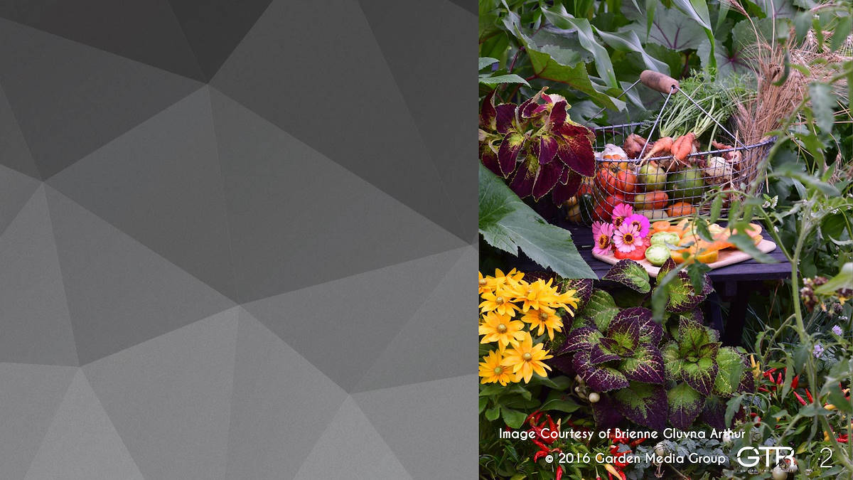 Investigación en la Función de los Jardines 2017