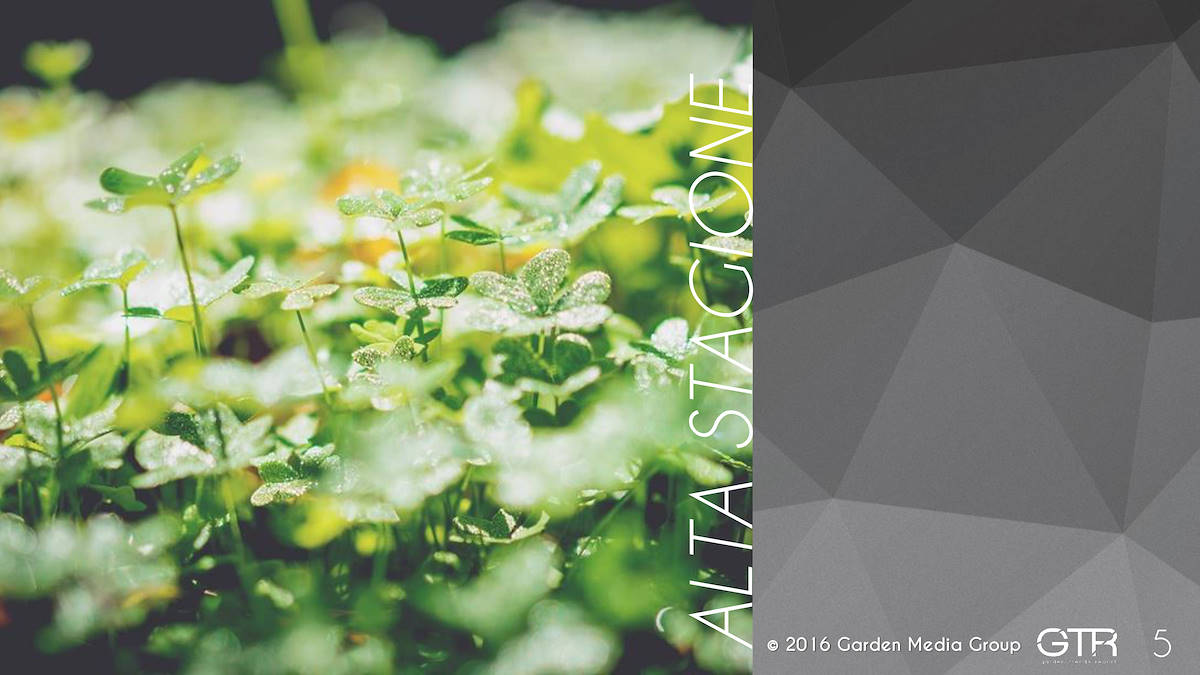 Investigación en la Función de los Jardines 2017