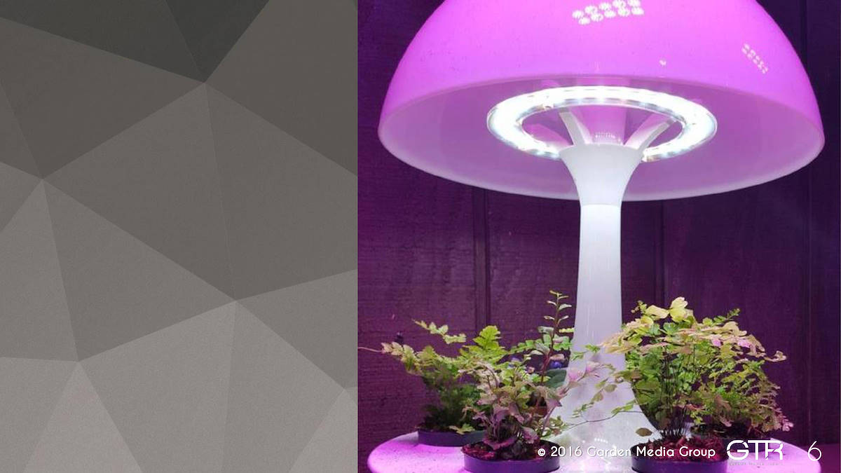 Investigación en la Función de los Jardines 2017