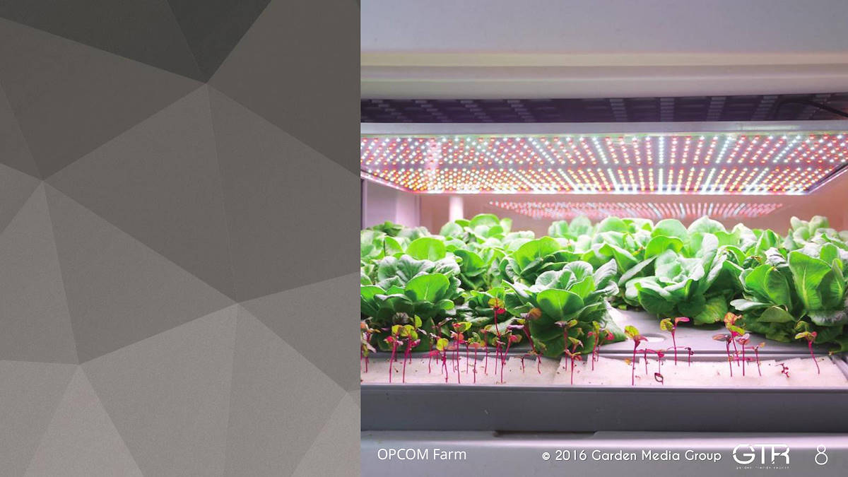 Investigación en la Función de los Jardines 2017