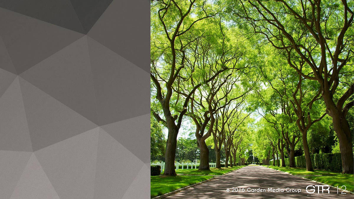 Investigación en la Función de los Jardines 2017