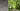 Investigación en la Función de los Jardines 2017