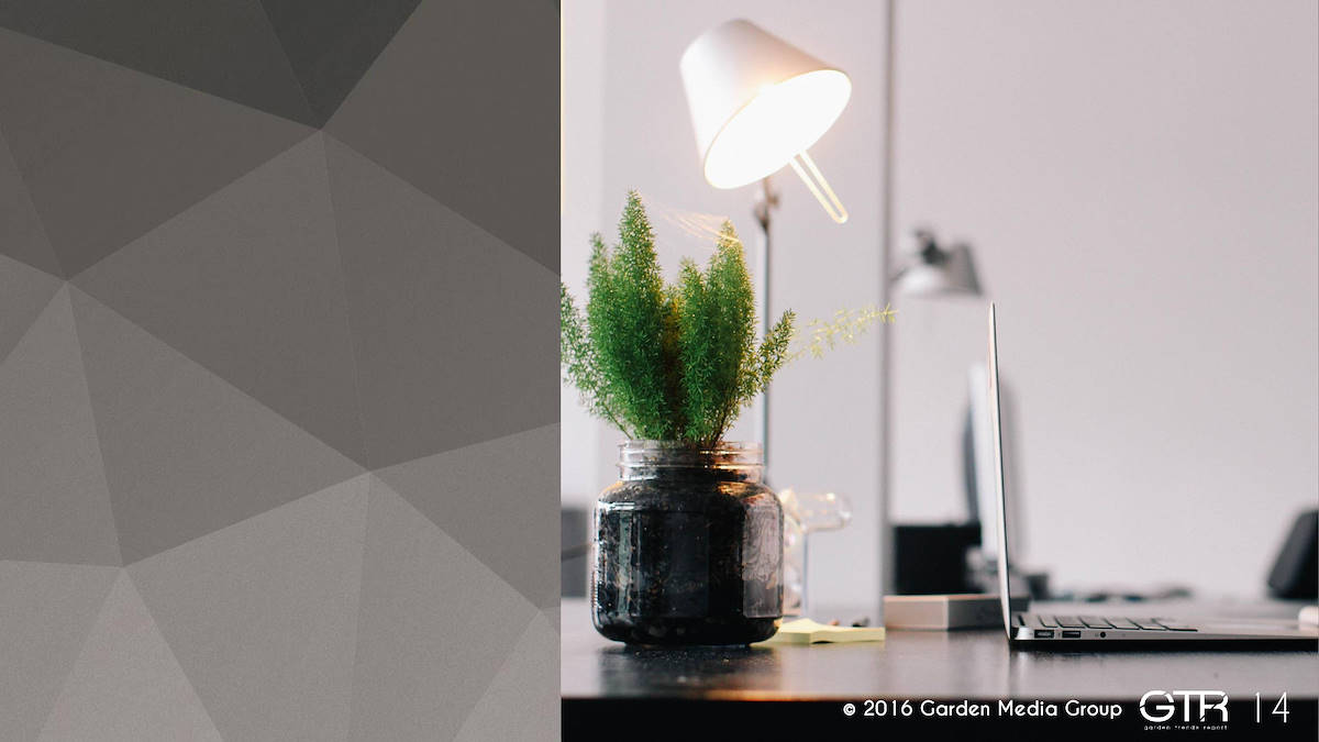 Investigación en la Función de los Jardines 2017