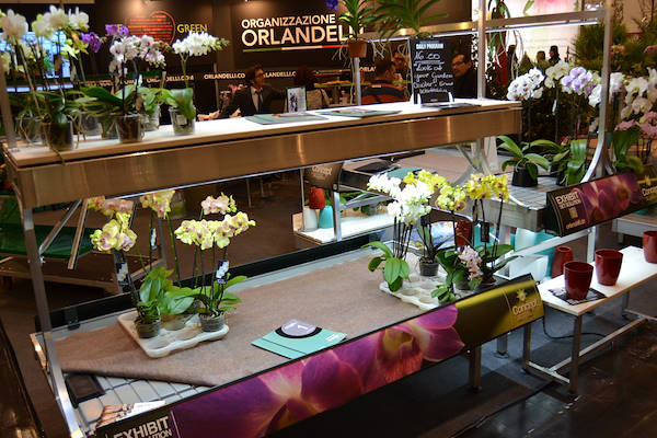 Bancali espositori con luci led