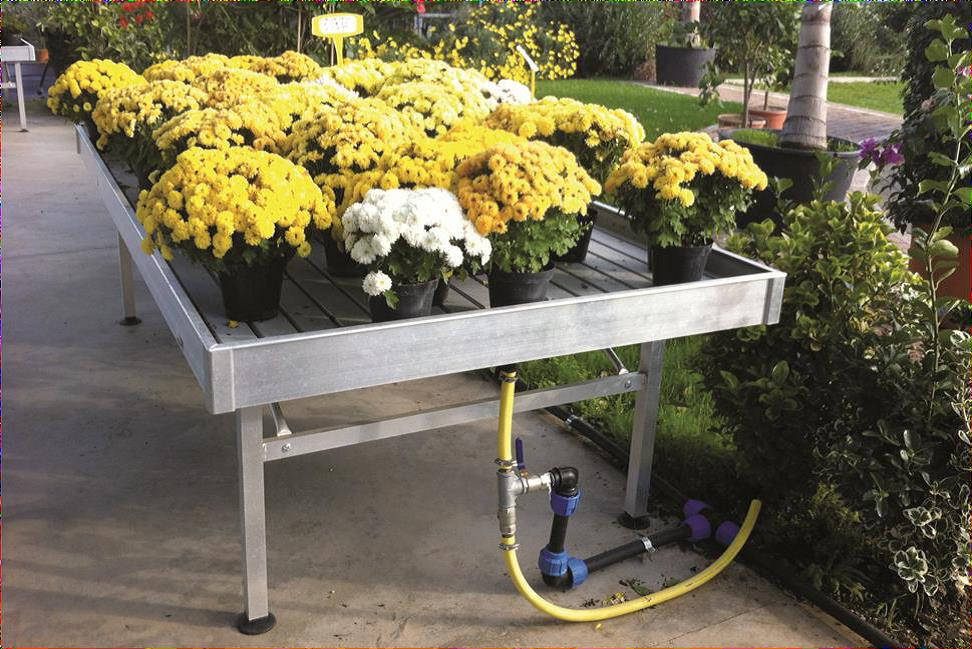 Irrigación de flores y plantas en un punto de venta