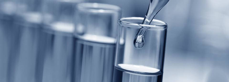 Irrigación de flores y plantas en un punto de venta