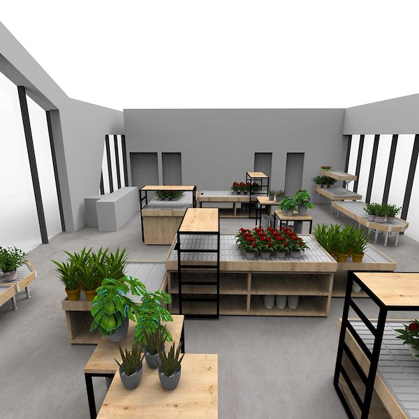 El proyecto