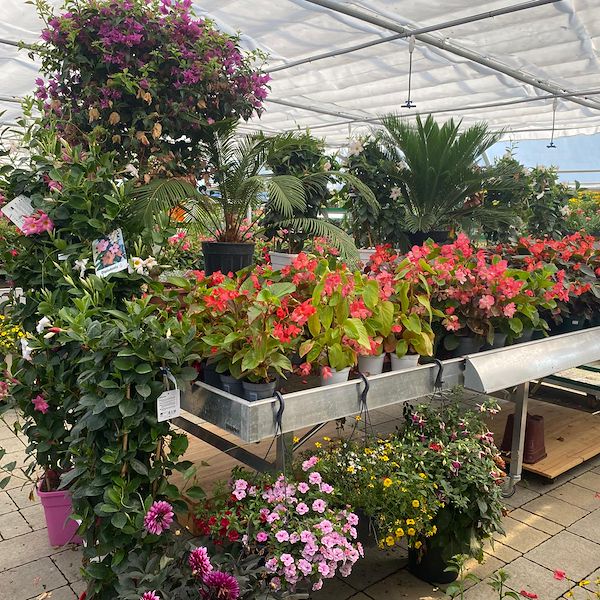JARDINERIE DU CHÊNE – Anthy-sur-Léman, France