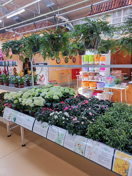 Jardinerie Mondo Verde, restyling de l’espace dédiée aux plantes d’intérieur