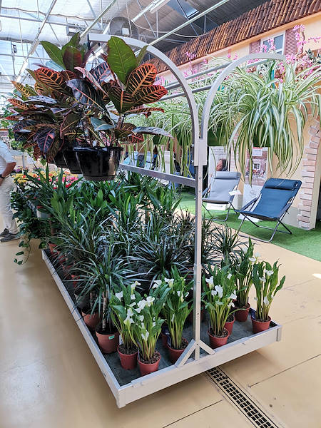 Jardinerie Mondo Verde, restyling de l’espace dédiée aux plantes d’intérieur