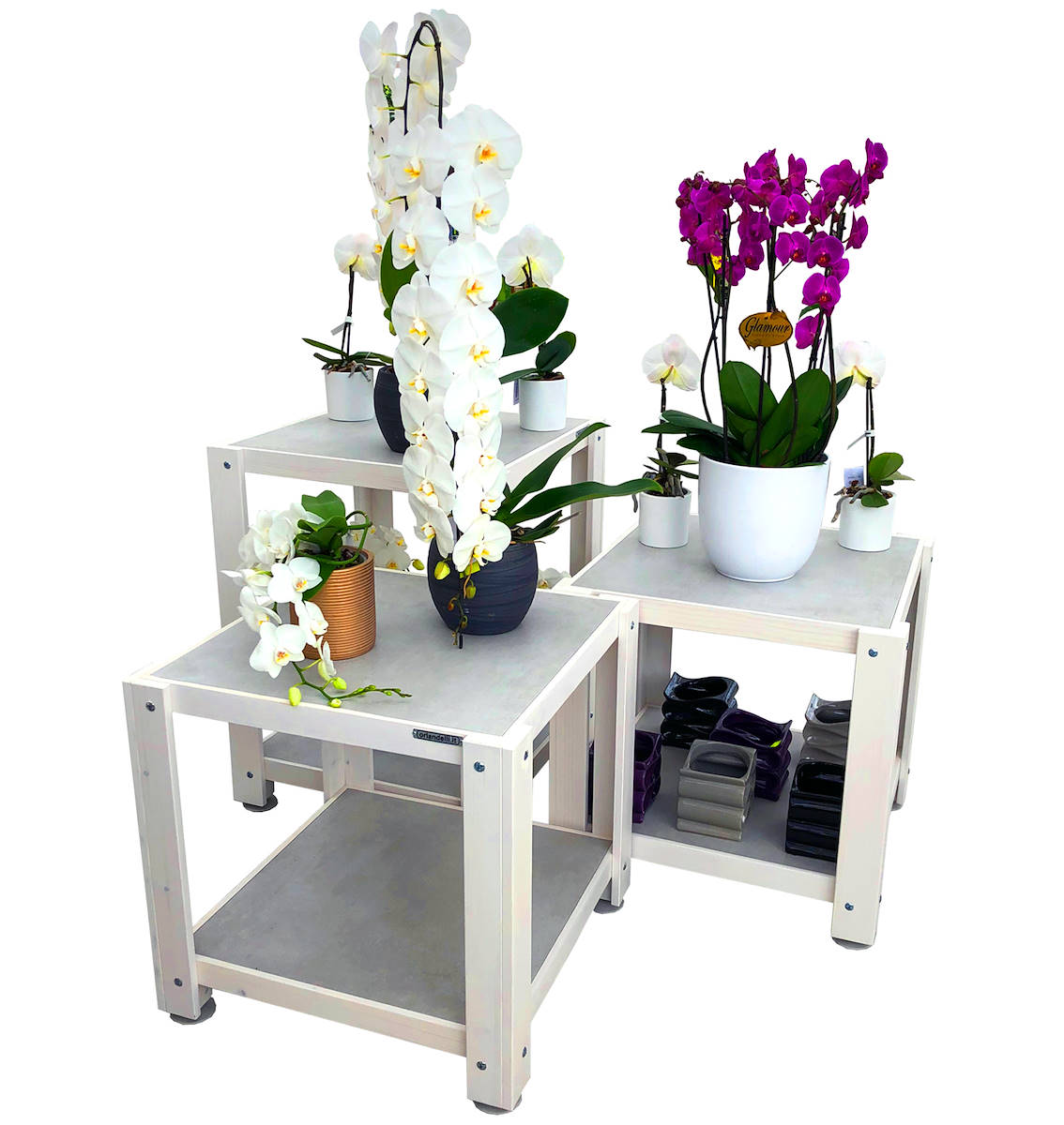 La nueva composición Orlandelli