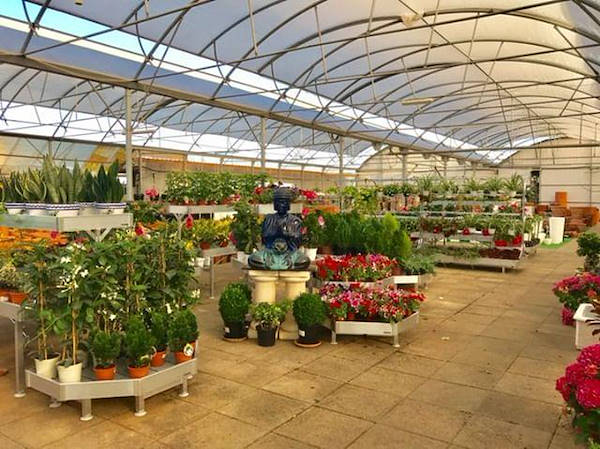 La remodelación de Alfa Garden Center en Portugal