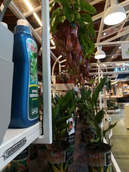 La Serre de Flora Toscana