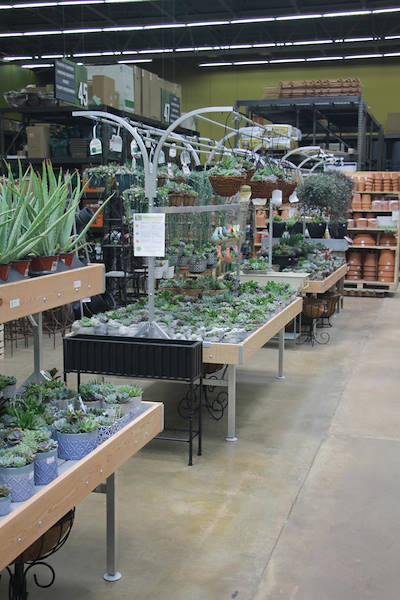 L'arredamento AMOR ridisegna l'area piante e fiori di Urban Hardware
