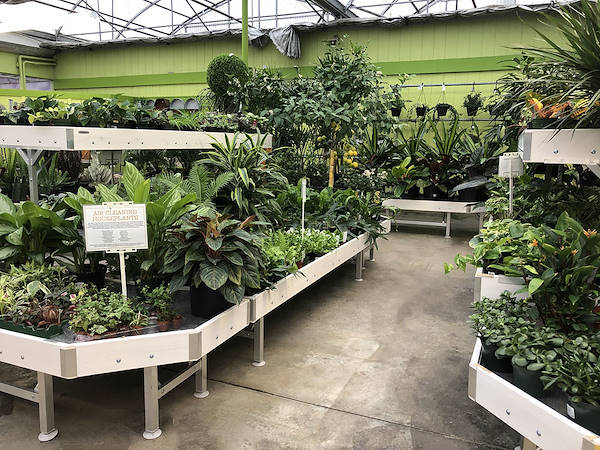 Las soluciones de exhibición de Orlandelli elegidas para refrescar el aspecto y la sensación de Minter Country Garden