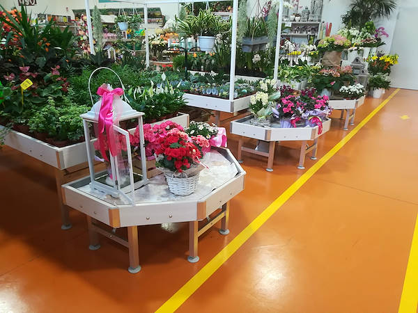 Le nouveau concept Paviotti d'Orlandelli