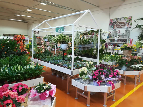 Le nouveau concept Paviotti d'Orlandelli