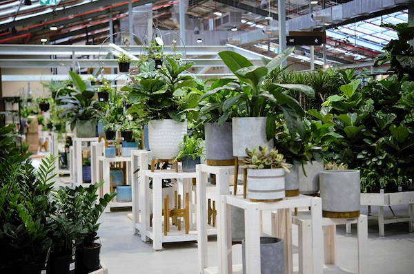 Le nouveau Garden Center Flower Power