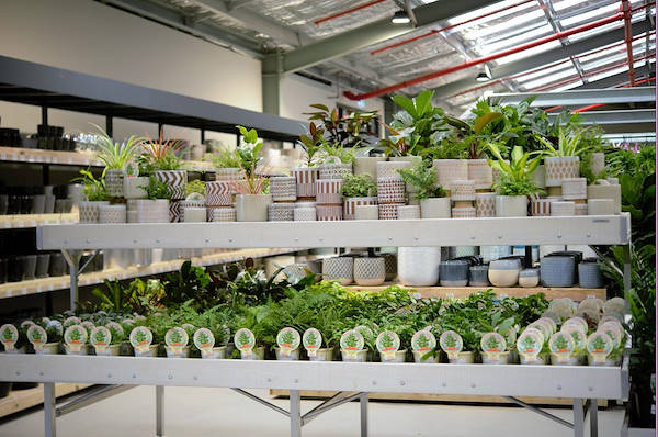 Le nouveau Garden Center Flower Power