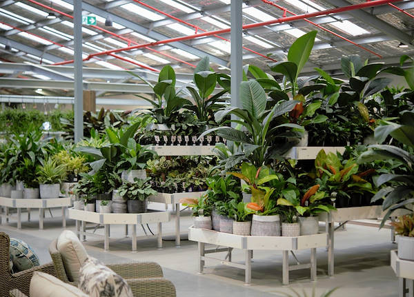 Le nouveau Garden Center Flower Power