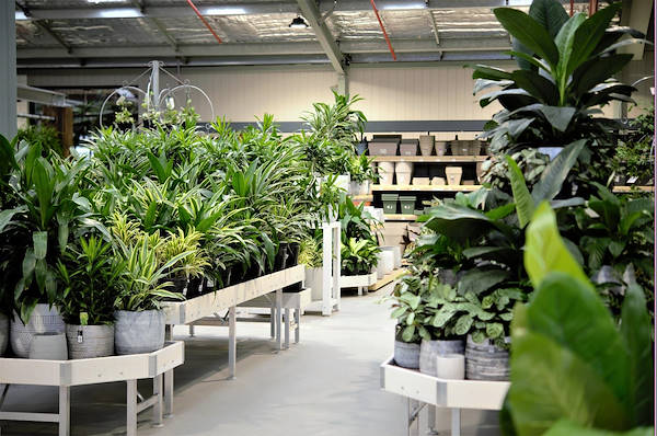 Le nouveau Garden Center Flower Power