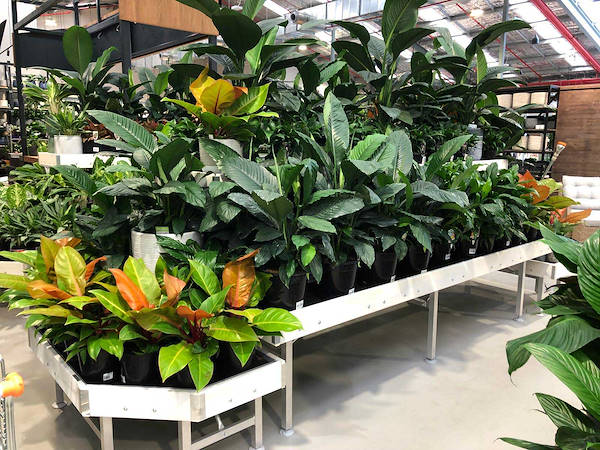 Le nouveau Garden Center Flower Power