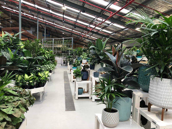 Le nouveau Garden Center Flower Power