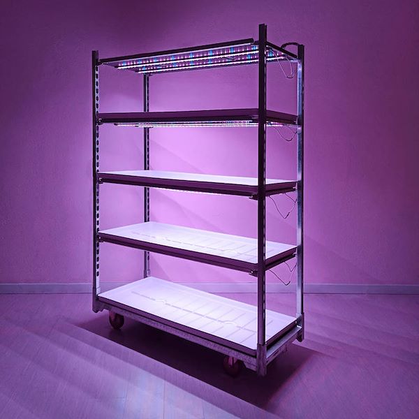 Lampes LED Slim - Microgreens