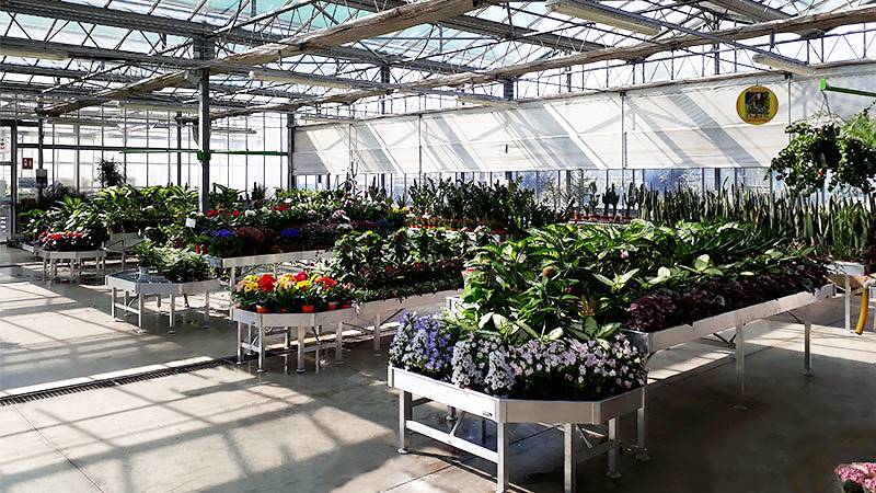 Nouveau concept d'exposition pour Legnaia Vivai