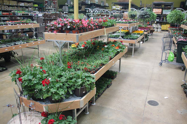 Les meubles AMOR redessinent l'espace plantes et fleurs du Centre Urban Hardware.