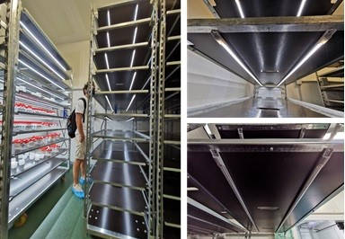 Chariots DC Orlandelli avec lampes C-LED