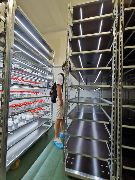 Les nouveaux chariots DC avec kit d'éclairage C-LED