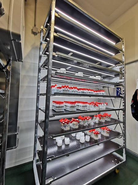 Les nouveaux chariots DC avec kit d'éclairage C-LED