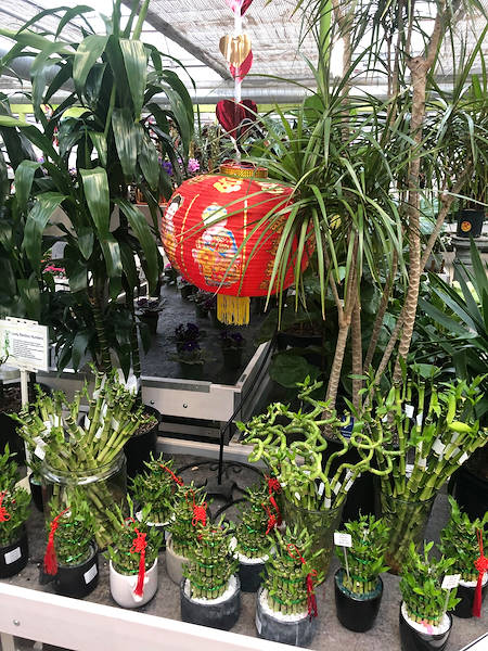 Les solutions d'exposition d'Orlandelli choisies pour rafraîchir Minter Country Garden