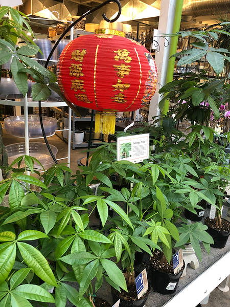 Les solutions d'exposition d'Orlandelli choisies pour rafraîchir Minter Country Garden