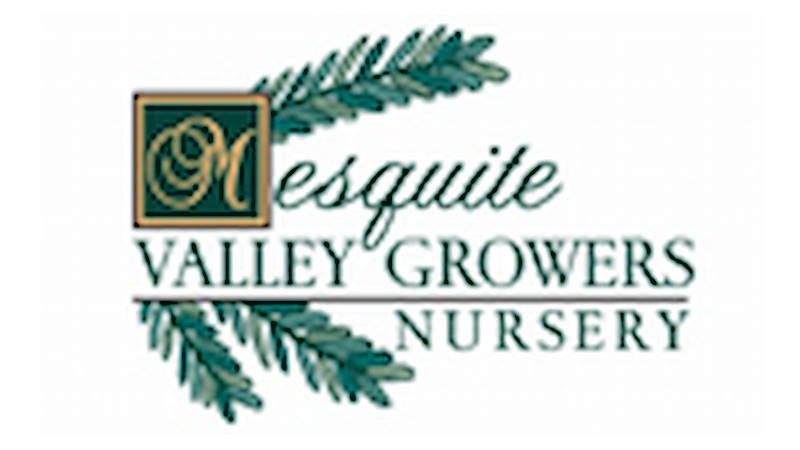 Les tables de Orlandelli en Arizona