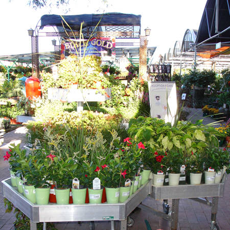 Les tables de Orlandelli en Arizona