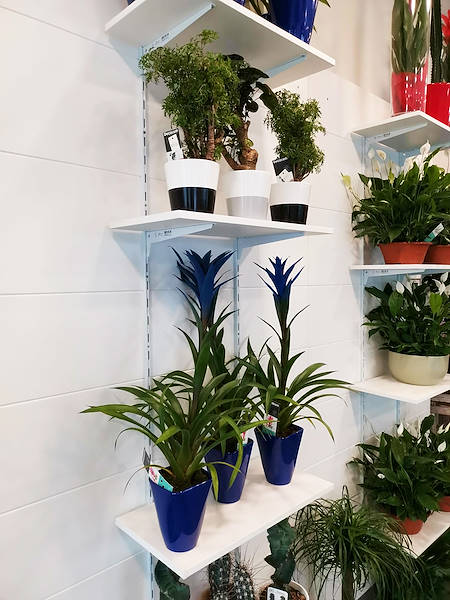 L’Oasi dei fiori a Milano si rinnova con un layout giovane ed elegante