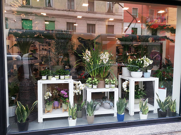 L’Oasi dei fiori a Milano si rinnova con un layout giovane ed elegante