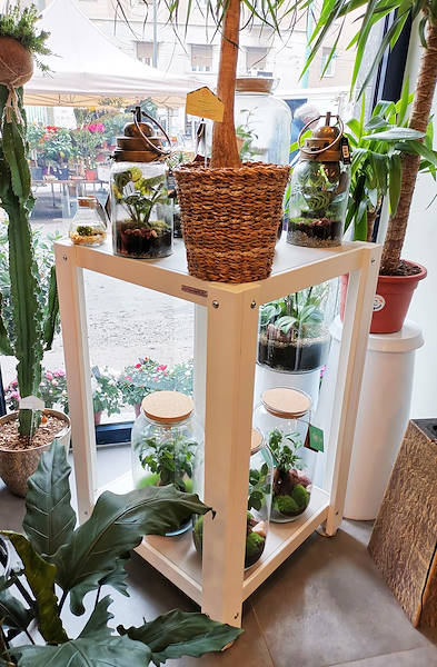 L’Oasi dei fiori a Milano si rinnova con un layout giovane ed elegante