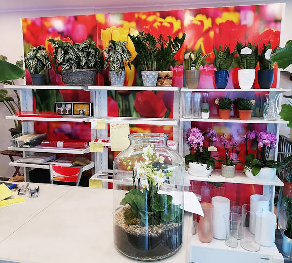 L’Oasi dei fiori a Milano si rinnova con un layout giovane ed elegante