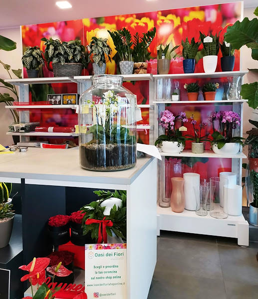 L’Oasi dei fiori a Milano si rinnova con un layout giovane ed elegante